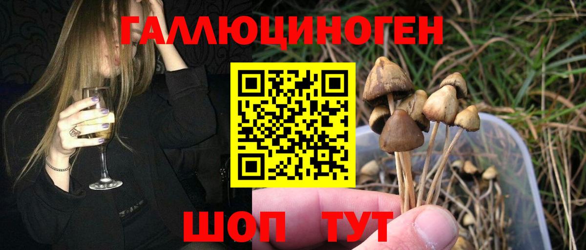 Псилоцибиновые грибы Psilocybine cubensis  Вход с VPN  Заволжье  Галлюциногенные грибы мухоморы 