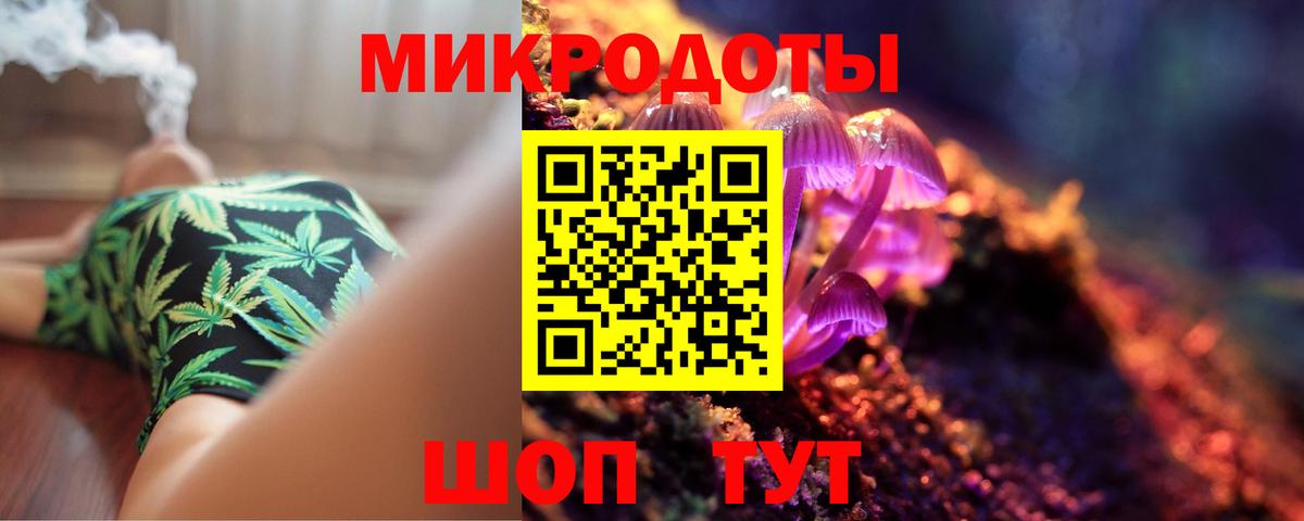 Псилоцибиновые грибы Cubensis Заволжье